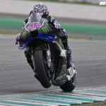 55075384587_b76c19249a_h