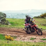 シャレイナが第4ステージ制覇で総合争い接近 最終決戦へ1分46秒差 世界ラリーレイド選手権 2026-rally-raid-portugal-stage-4-brabec (2)