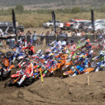 ヴィアーレ Honda HRC PETRONASデビュー戦で予選レース優勝 MXGPアルゼンチン開幕戦 Vialle_Argentina_©HondaRacing_@shotbybavo_DSC_6207