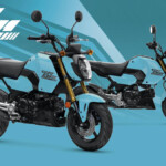 26YM HONDA MSX125 GROM